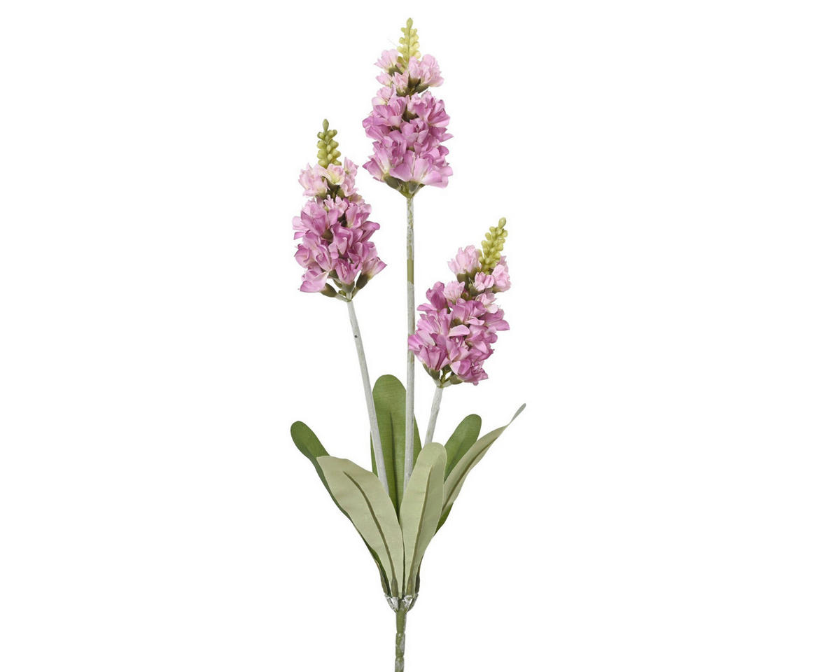 UKRASNI CVET - Osnovno (13/4/67cm)