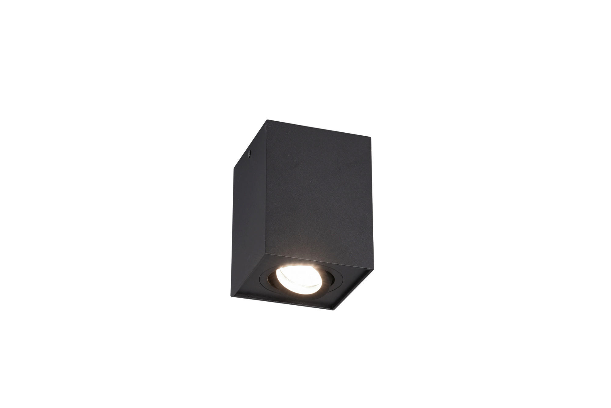 DECKENLEUCHTE - Basics (9,6/12,5/9,6cm) - Trio Leuchten