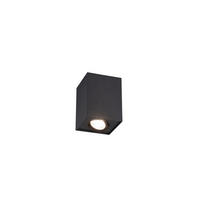 DECKENLEUCHTE     - Basics (9,6/12,5/9,6cm) - Trio Leuchten