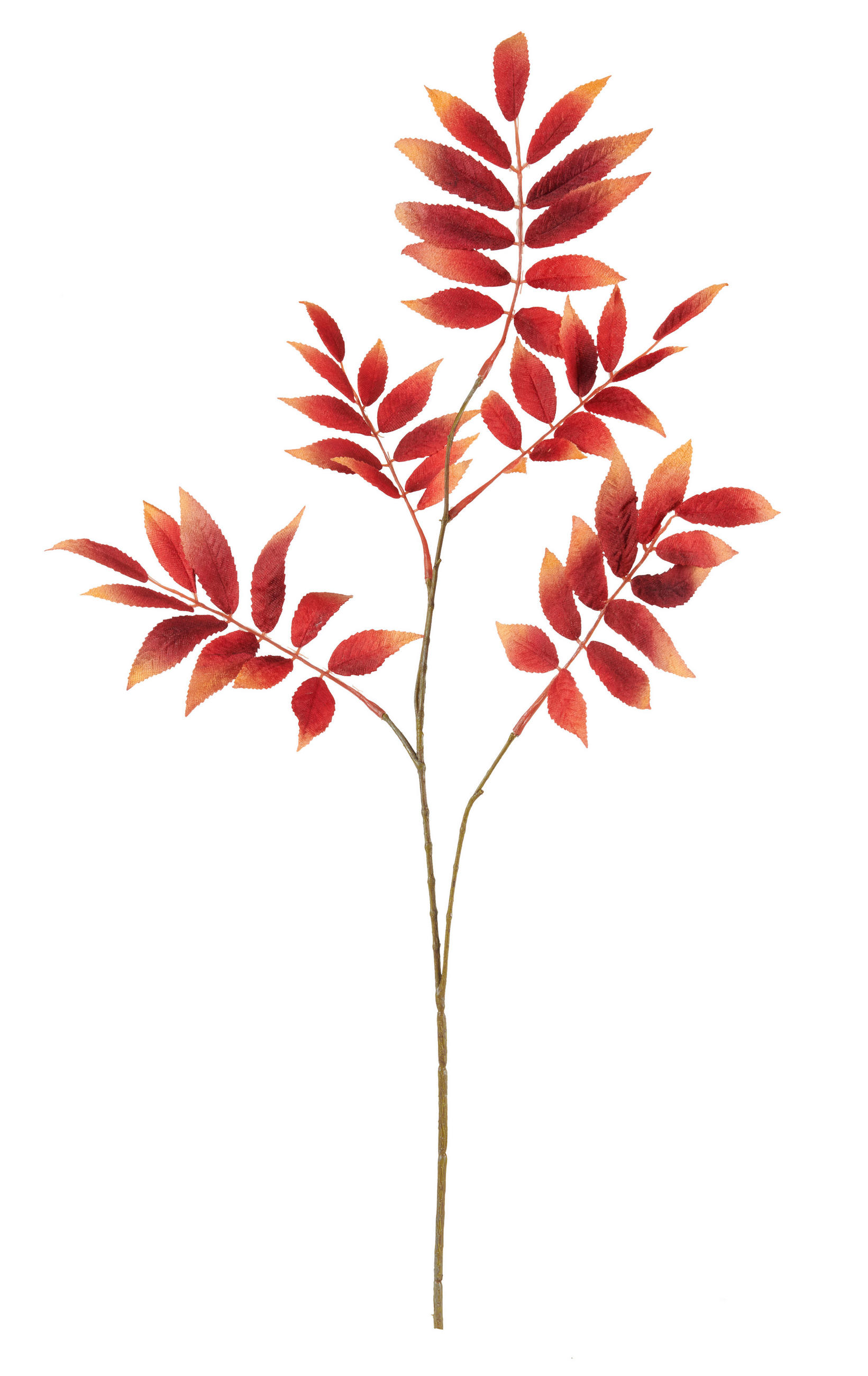 BRANCHE DÉCORATIVE - bordeaux/marron, Lifestyle, matière synthétique/textile (81cm)