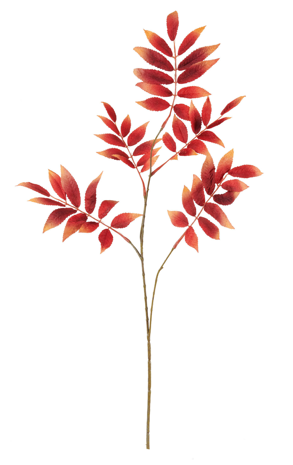 BRANCHE DÉCORATIVE - bordeaux/marron, Lifestyle, matière synthétique/textile (81cm)