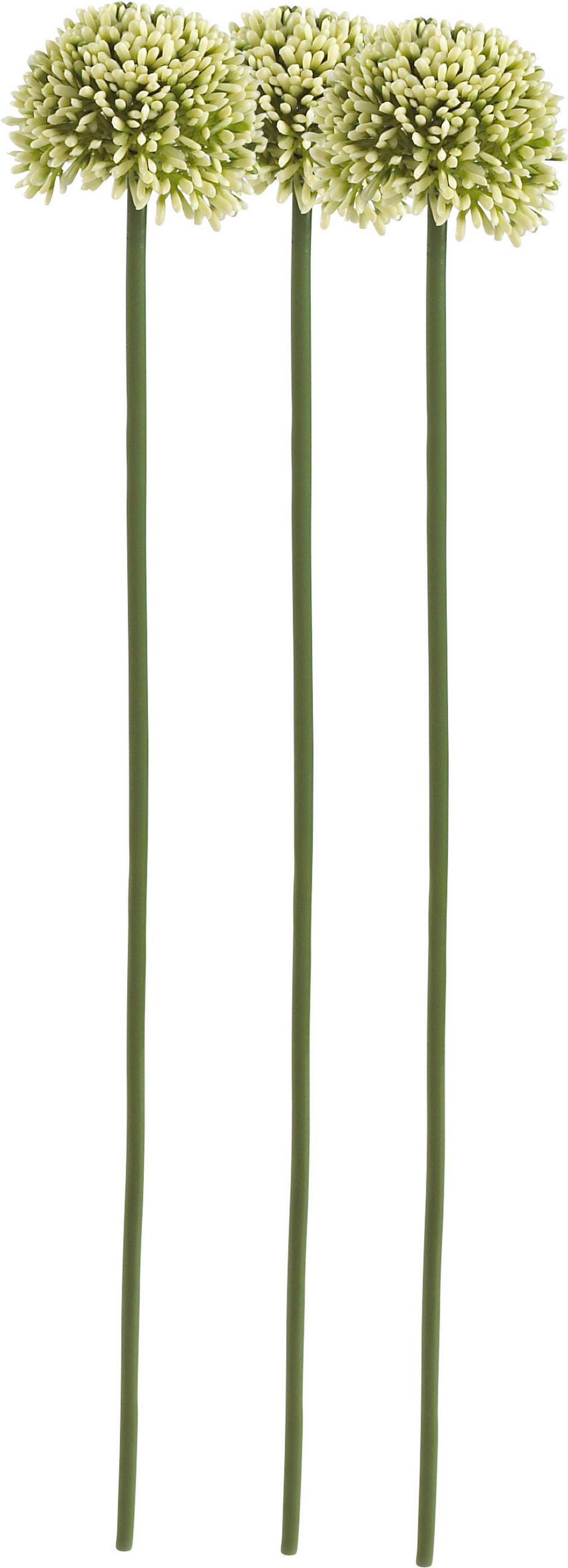 VEŠTAČKI CVET - zelena/krem, Konvencionalno, plastika (46cm)