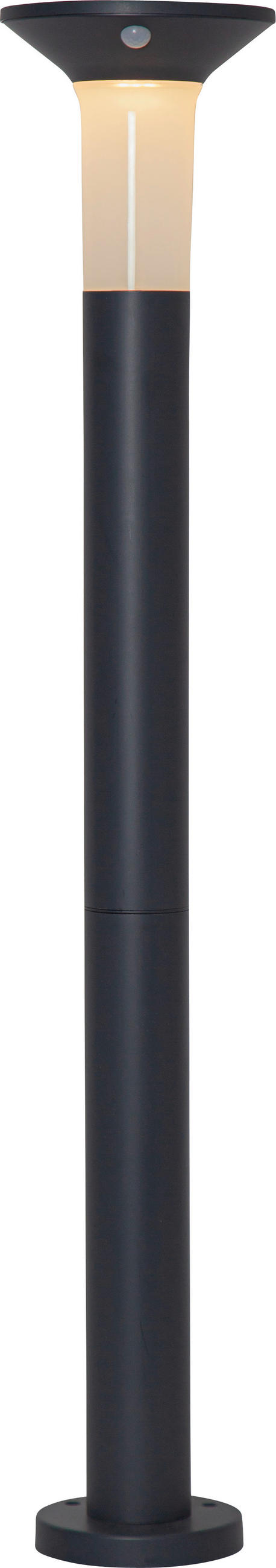 SOLARLEUCHTE  - Graphitfarben/Weiß, Basics, Kunststoff (16/90cm) - Eglo