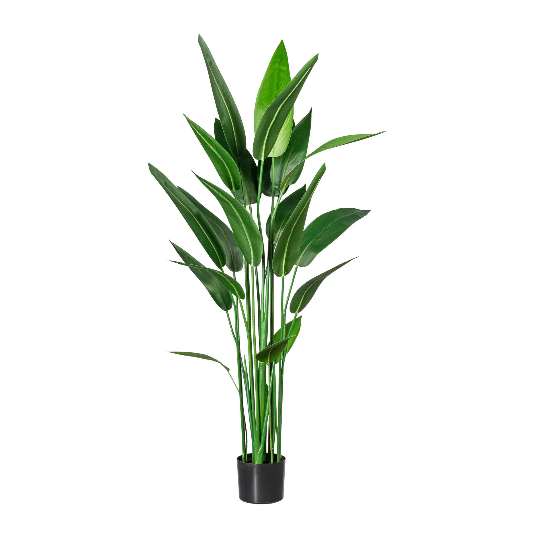 KUNSTPFLANZE Wassercanna  140 cm  - Schwarz/Grün, Design, Kunststoff (140cm) - P & B