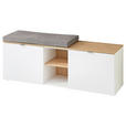 GARDEROBENBANK Bari in 128/50/38 cm - Silberfarben/Hellgrau, Design, Holzwerkstoff/Kunststoff (128/50/38cm) - Xora