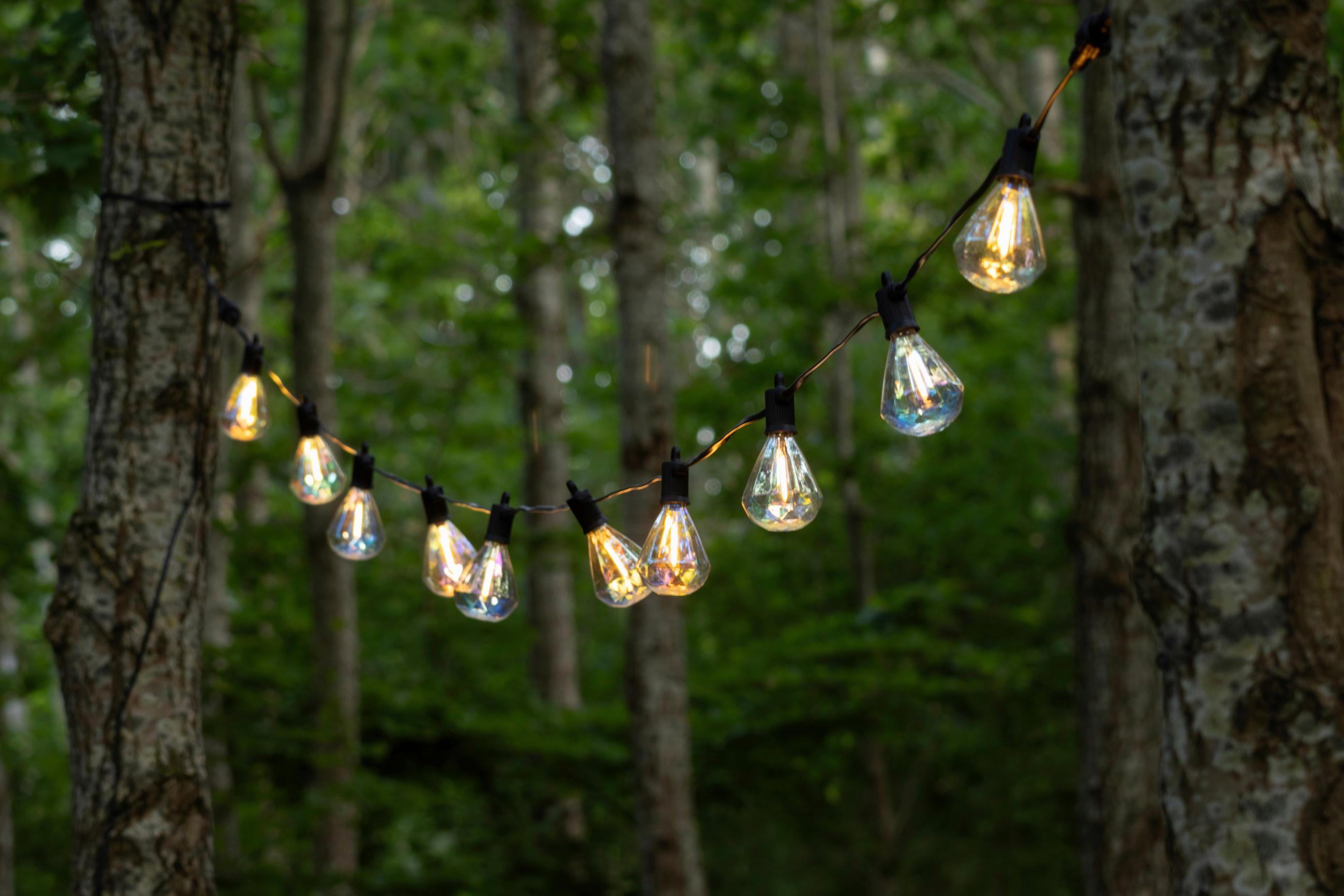 LICHTERKETTE 300 cm - Transparent/Schwarz, Basics, Kunststoff (300cm)