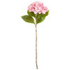 HORTENSIE  - Hellrosa, Basics (60cm)