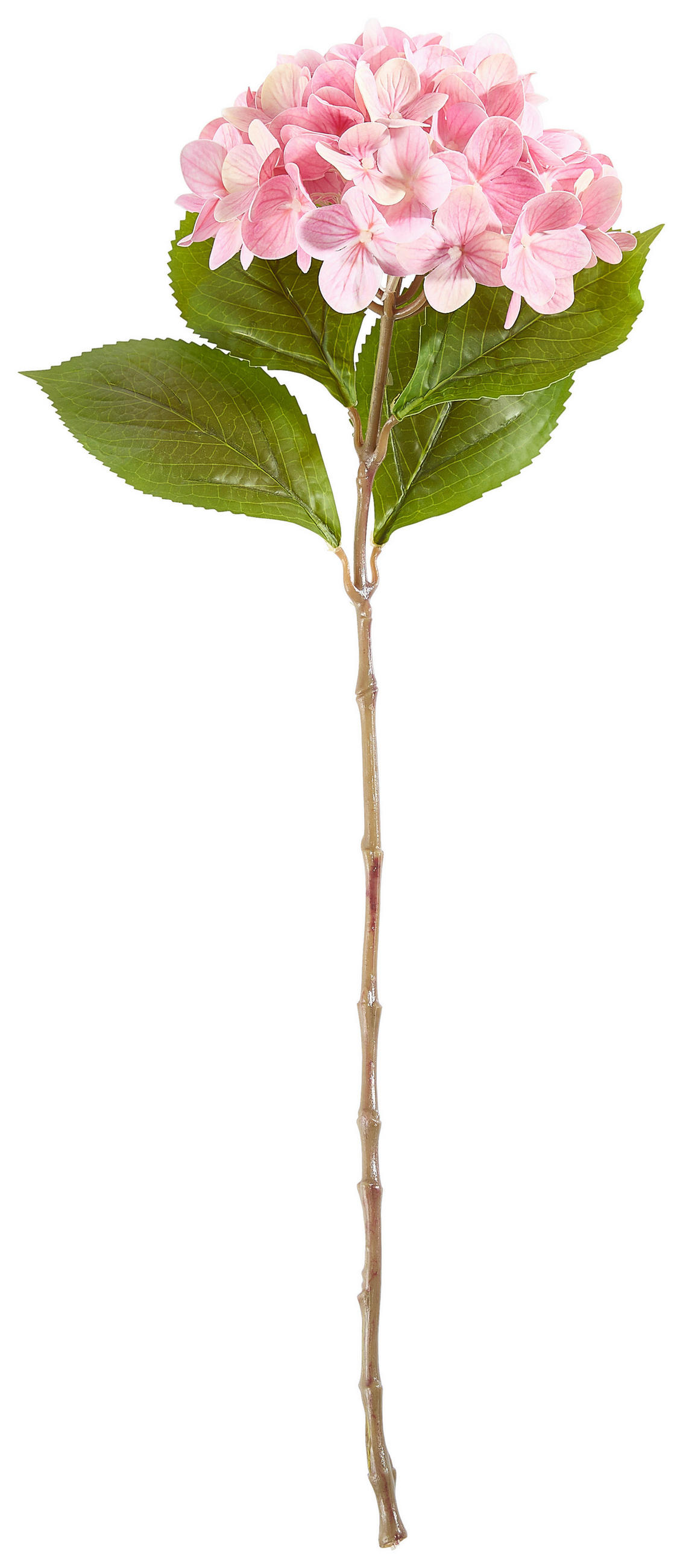 HORTENZIA - világos rózsaszín, Basics (60cm)