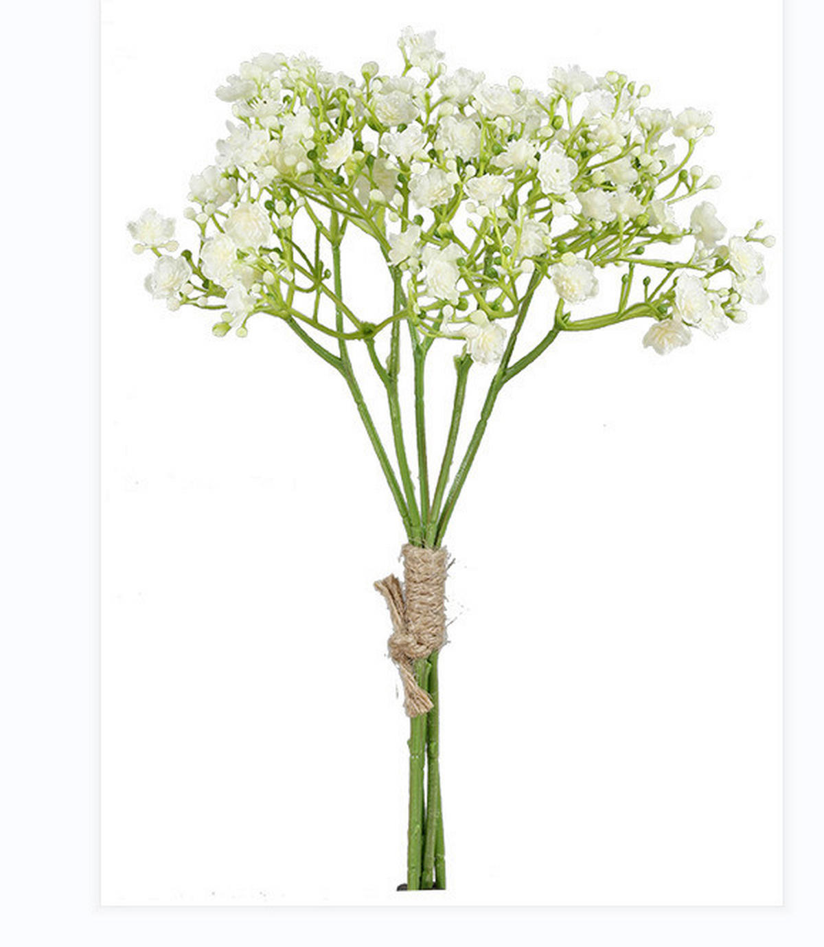 GYPSOPHILA - Weiss/Braun, Basics (30cm)