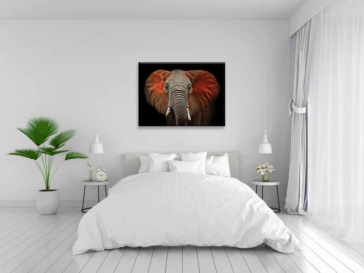 LEINWANDBILD Tiere 135/100 cm  - Schwarz/Weiß, Basics, Holz/Papier (135/100cm) - Euroart