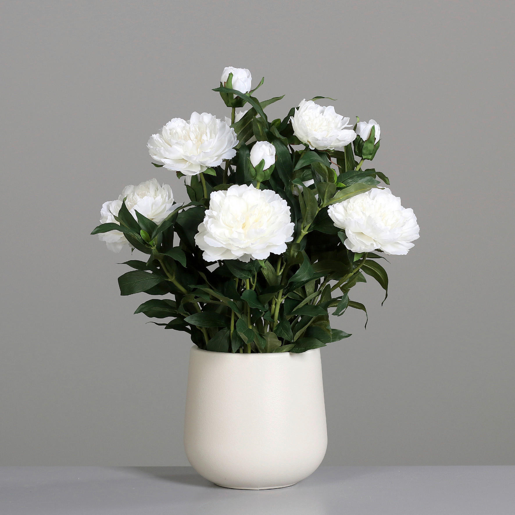 PFINGSTROSE - Creme/Grün, Basics, Kunststoff/Textil (66cm)