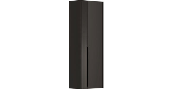 GARDEROBENSCHRANK 58/165/34 cm - Anthrazit/Schwarz, Design, Glas/Holzwerkstoff (58/165/34cm) - Dieter Knoll