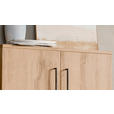SCHUHSCHRANK 80/120/38 cm  - Eichefarben/Silberfarben, Basics, Holzwerkstoff/Kunststoff (80/120/38cm) - Moderano
