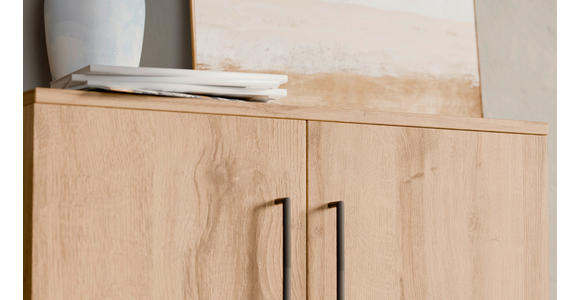 SCHUHSCHRANK 80/120/38 cm  - Eichefarben/Silberfarben, Basics, Holzwerkstoff/Kunststoff (80/120/38cm) - Moderano