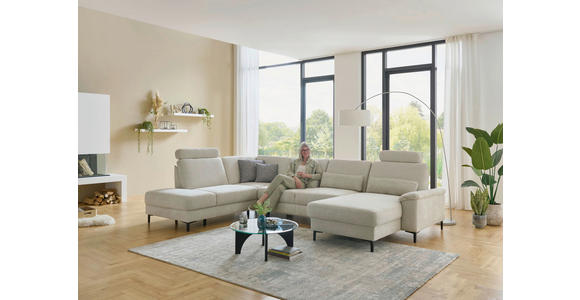 WOHNLANDSCHAFT Dieter Knoll Greige Chenille  - Greige/Schwarz, Design, Textil/Metall (235/349/175cm) - Dieter Knoll