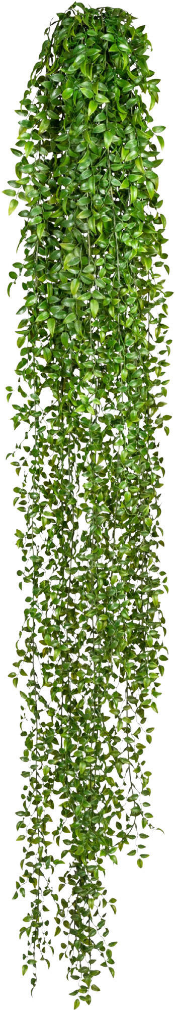 KUNSTPFLANZE 160 cm  - Grün, Design, Kunststoff (160cm) - P & B