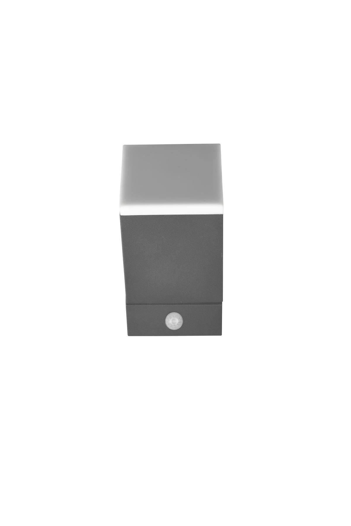 VÄGGLAMPA FÖR UTOMHUS - antracit, Basics, metall/plast (11/9/16cm) - Trio Leuchten