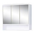 SPIEGELSCHRANK 58/49,5/14,8 cm  - Weiß, KONVENTIONELL, Glas/Kunststoff (58/49,5/14,8cm) - Xora