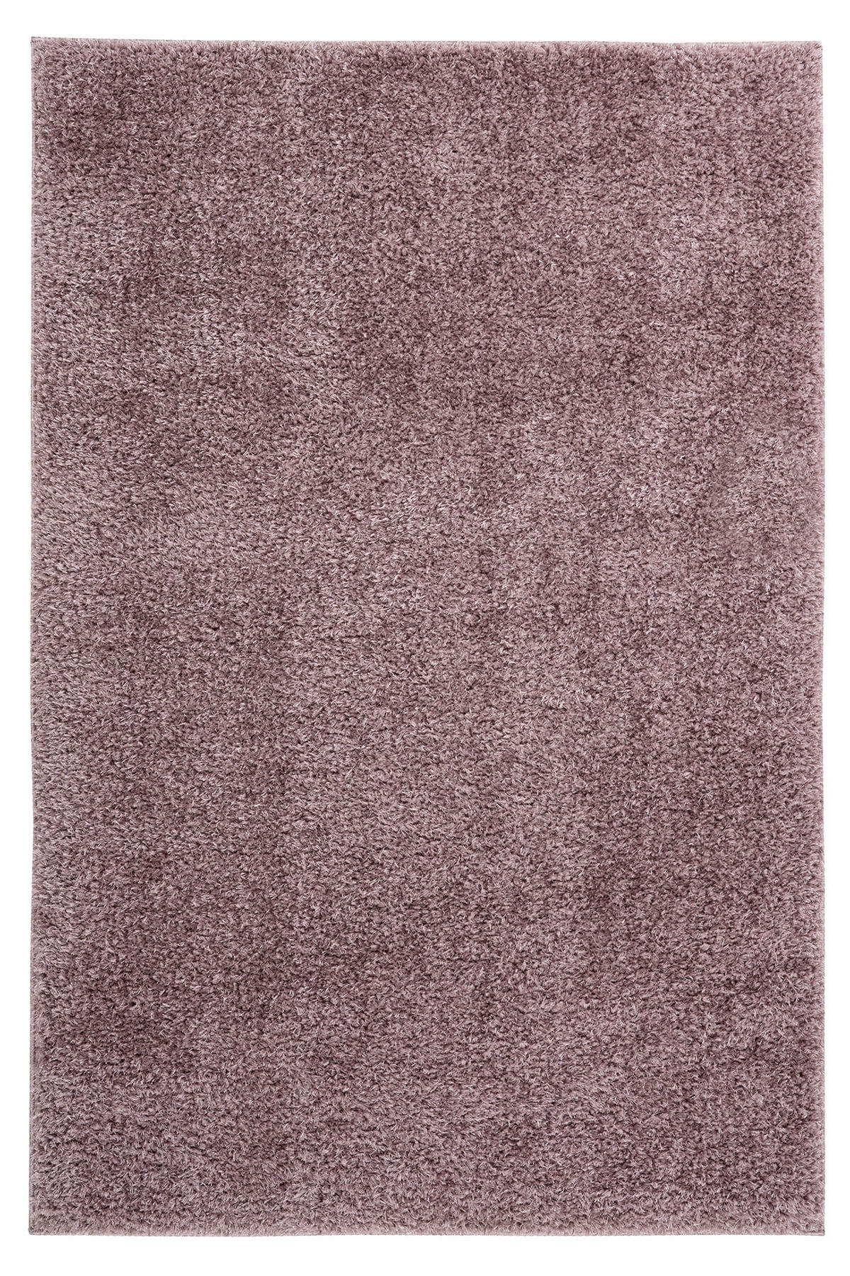 HOCHFLORTEPPICH 120/170 cm My Emilia Lila  - Lila, KONVENTIONELL, Textil (120/170cm) - Obsession