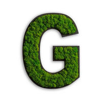 MOOSBILD Stylegreen  - Schwarz/Grün, Basics, Naturmaterialien/Holz (35/23/5cm)