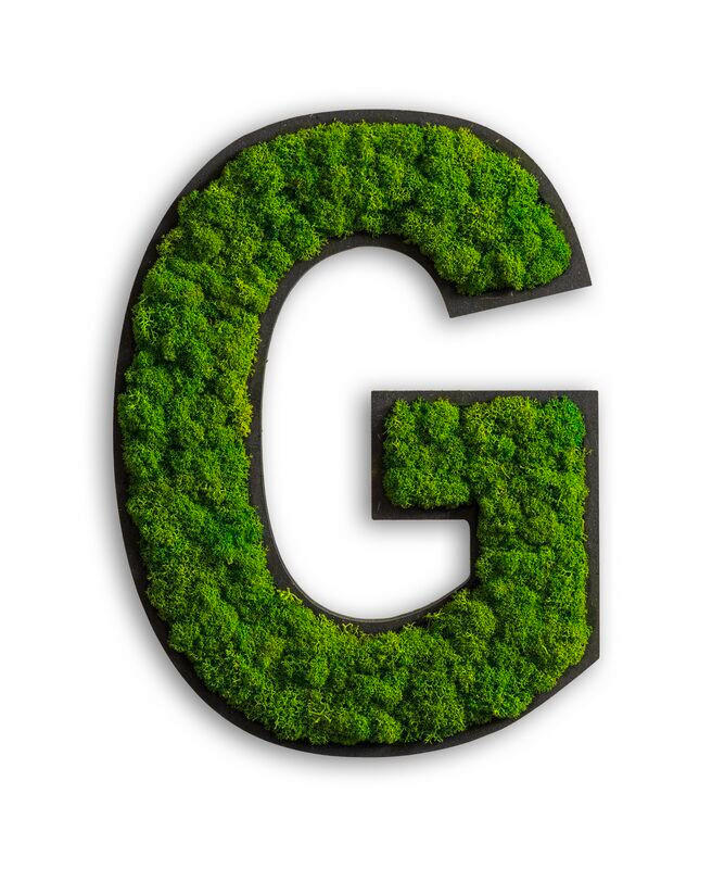 StyleGREEN MECHOVÝ OBRAZ