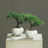 UMETNA RASTLINA - zelena/rjava, Basics, umetna masa (18cm) - Ambia Home UMETNA RASTLINA - zelena/rjava, Basics, umetna masa (18cm) - Ambia Home