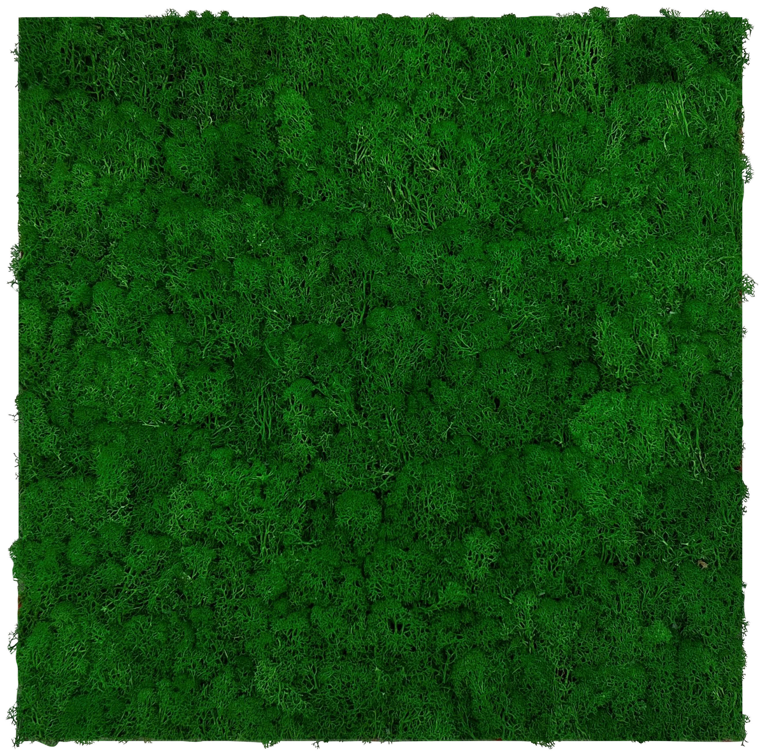 Jangal Akustikpaneel Modular Wall System Moos Grün 52x52x4 cm