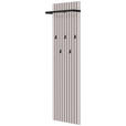 GARDEROBENPANEEL  in 46/160/18 cm  - Kaschmir/Schwarz, Design, Holzwerkstoff/Metall (46/160/18cm) - Voleo