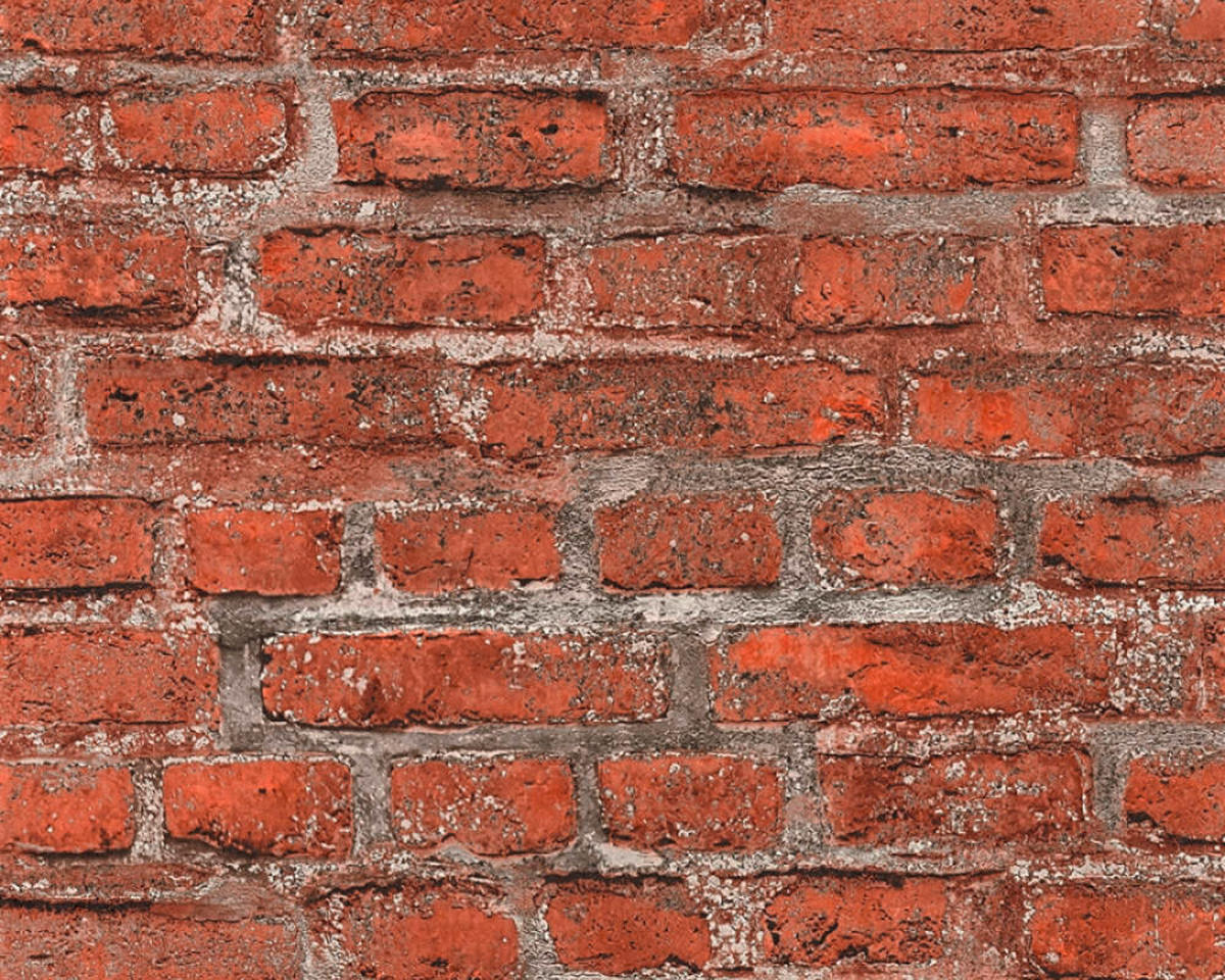 TAPETA VINILNA  siva, crvena  - siva/crvena, Lifestyle, papir (53*1000cm)