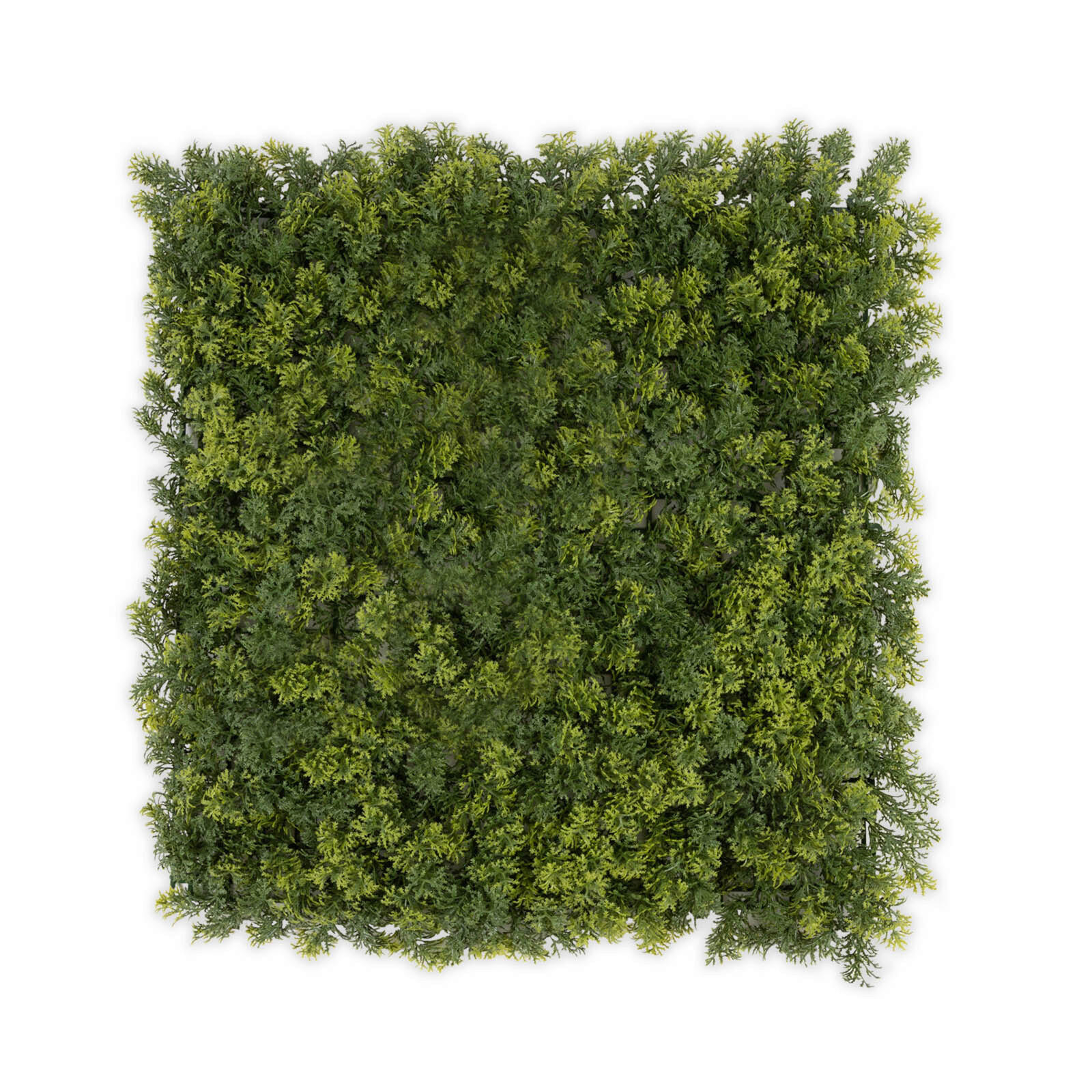 Wandverkleidung Pflanzenwand  - Waldgrün/Dunkelgrün, Trend, Kunststoff (50/50cm) - Floordirekt