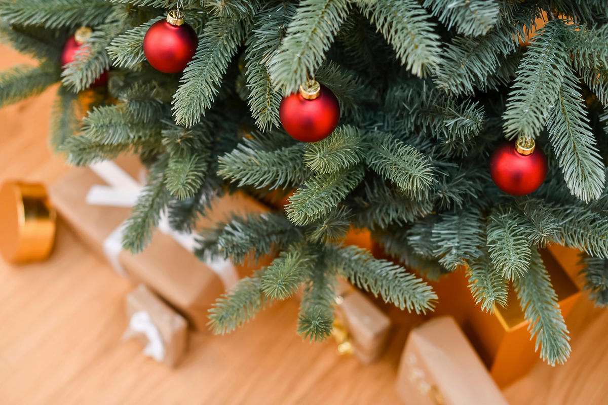 WEIHNACHTSBAUM 240 cm  - Waldgrün, Basics, Kunststoff/Metall (160/240cm)