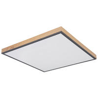 LED PANEL, 59/59/6,5 cm - grafitová/opálová, Basics, kov/plast (59/59/6,5cm) - Globo