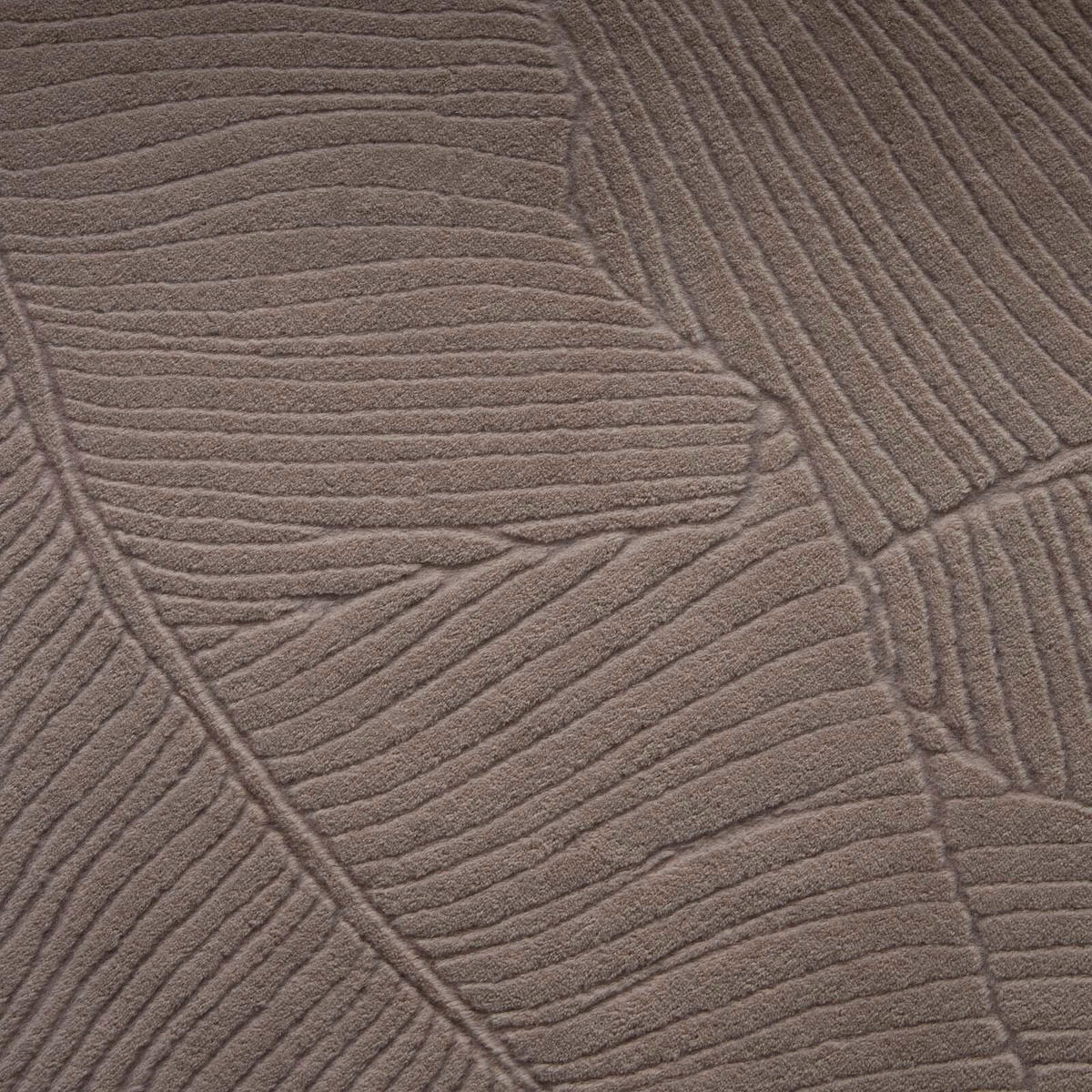 HOCHFLORTEPPICH 120/170 cm Stilo Taupe  - Taupe, Design, Textil (120/170cm) - Novel