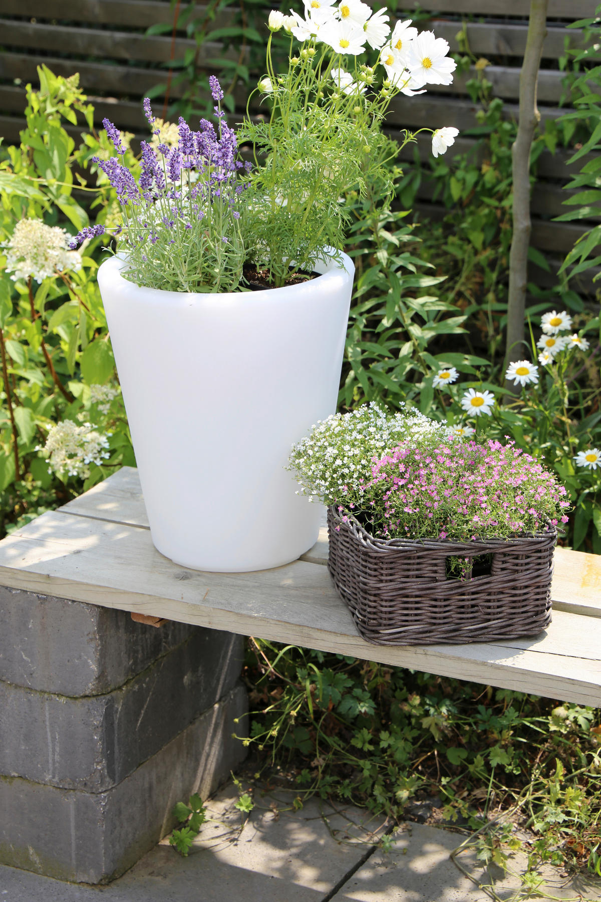 LED-DEKORATIONSLAMPA 34/39 cm   - vit, Basics, plast (34/39cm)