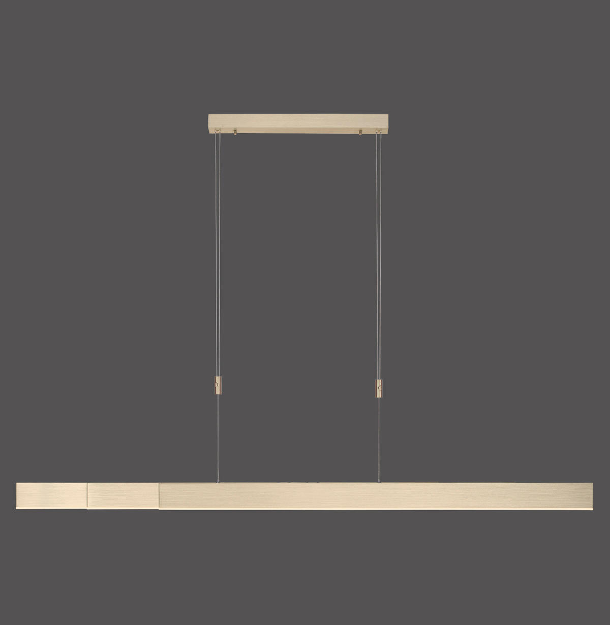 LAMPĂ SUSPENDATĂ CU LED 110-200/5,5/110-200 cm  - Design, plastic/metal (110-200/5,5/110-200cm)
