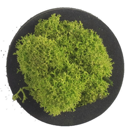 MOOSBILD Stylegreen  - Schwarz/Grün, Basics, Naturmaterialien/Holz (4/4/3,5cm)
