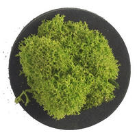 MOOSBILD Stylegreen  - Schwarz/Grün, Basics, Naturmaterialien/Holz (4/4/3,5cm)