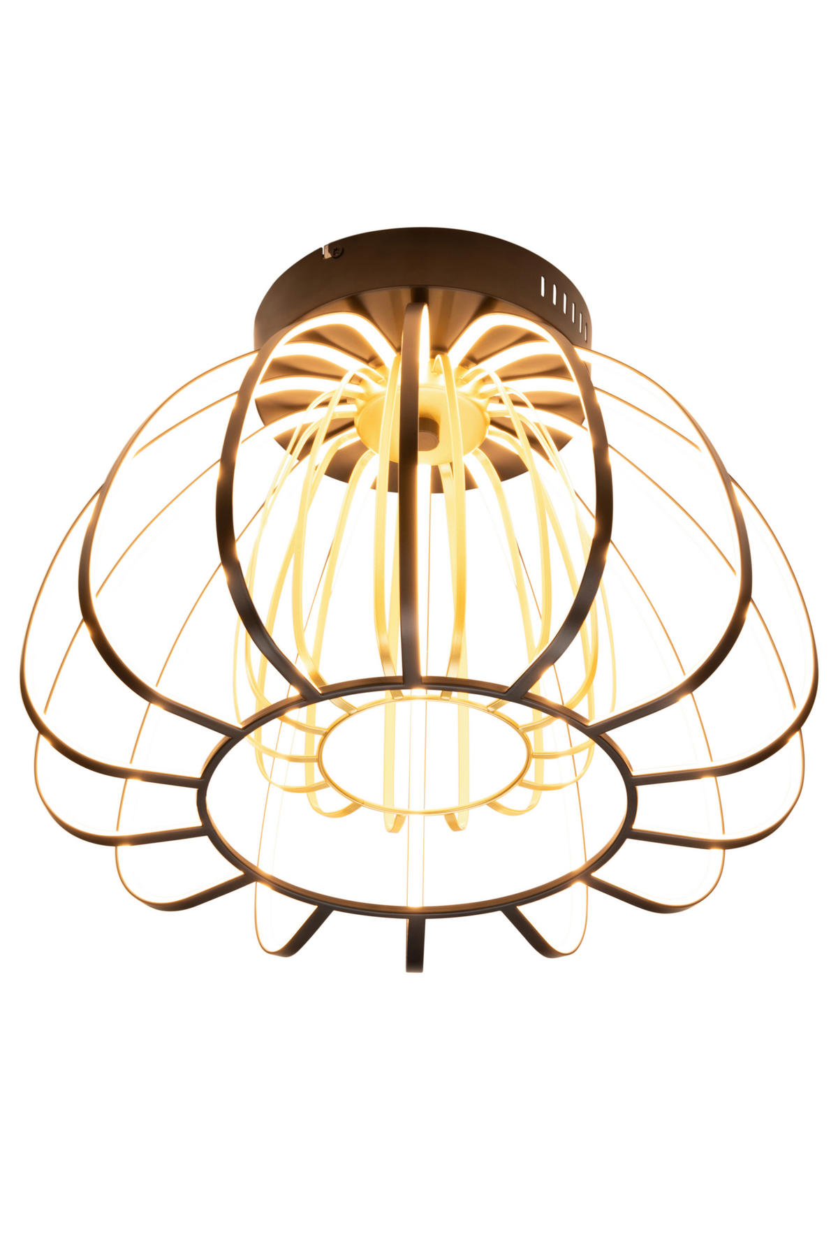 STROPNÍ LED SVÍTIDLO, 44,5/33 cm  - černá/barvy zlata, Design, kov/plast (44,5/33cm) - Novel