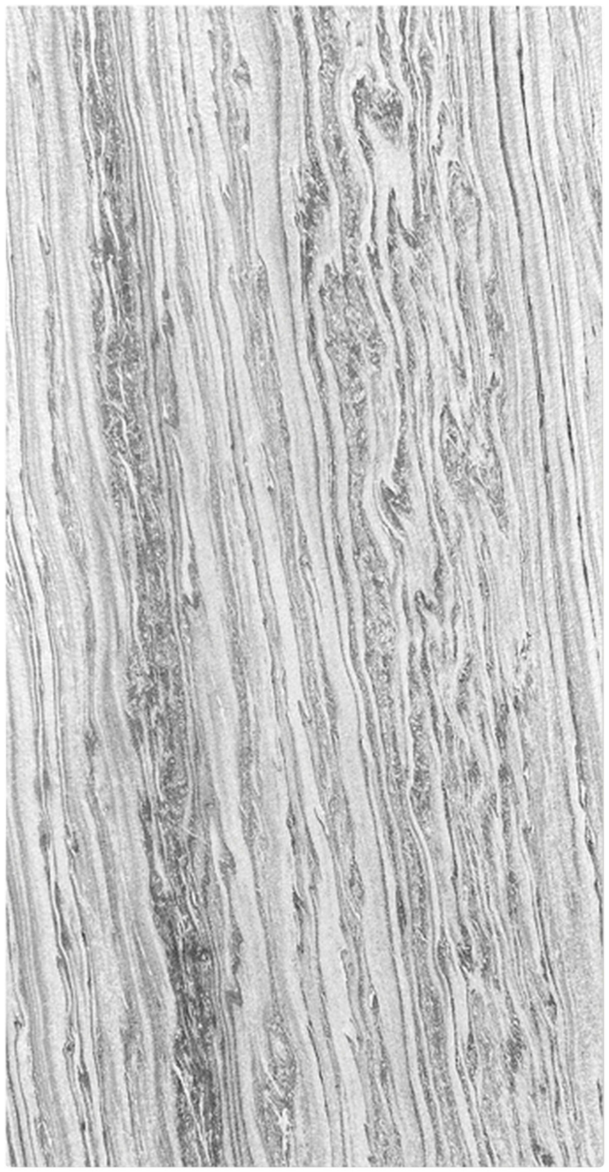 AKUSTICKÝ PANEL velikost: 52/104/0.7 cm - šedá, Moderní, textil/kámen (52/104/0.7cm) - Jangal