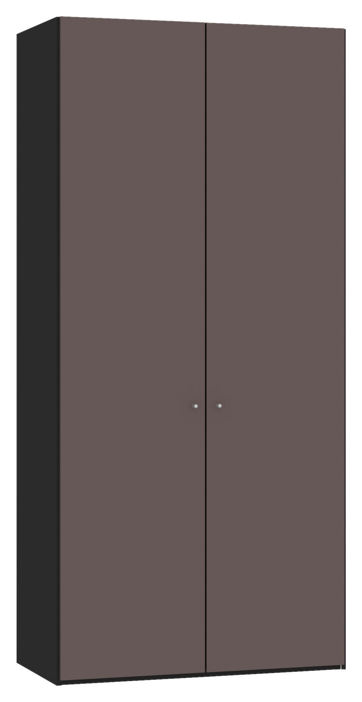 DREHTÜRENSCHRANK 102/220/59 cm 2-türig Schwarz, Braun  - Silberfarben/Schwarz, Design, Glas/Holzwerkstoff (102/220/59cm) - Jutzler