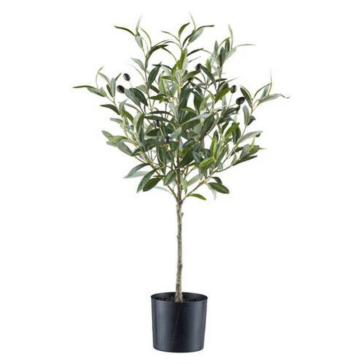 KUNSTPFLANZE Olive 70 cm  - Schwarz/Grau, Basics, Kunststoff (70cm) - P & B