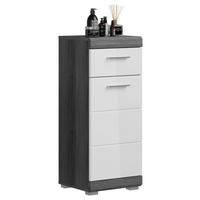 SPODNJA OMARICA 37/88/31 cm  - barve kroma/srebrne barve, Moderno, umetna masa/leseni material (37/88/31cm) - MID.YOU