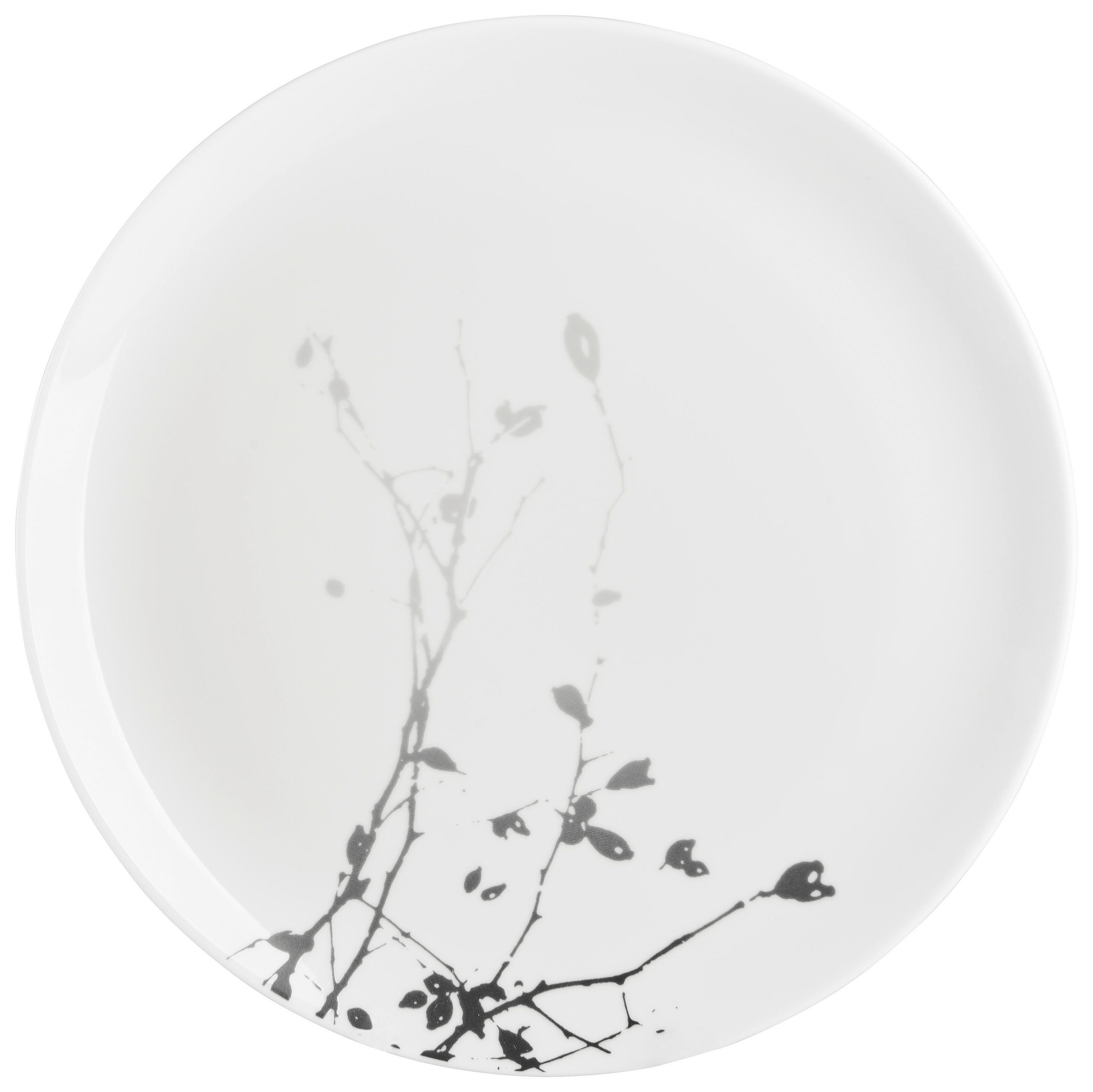 Seltmann Weiden Speiseteller Liberty Dark Rose Hip Schwarz