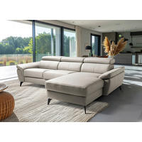 ECKSOFA Platinfarben Echtleder Lederlook Bettkasten, Schlaffunktion, Rücken echt, Armteilverstellung, Kopfteilverstellung  - Platinfarben/Schwarz, Design, Leder/Textil (252/179cm) - Livetastic