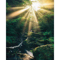 NON WOVEN-TAPET 200/250 cm  - Natur (200/250cm)