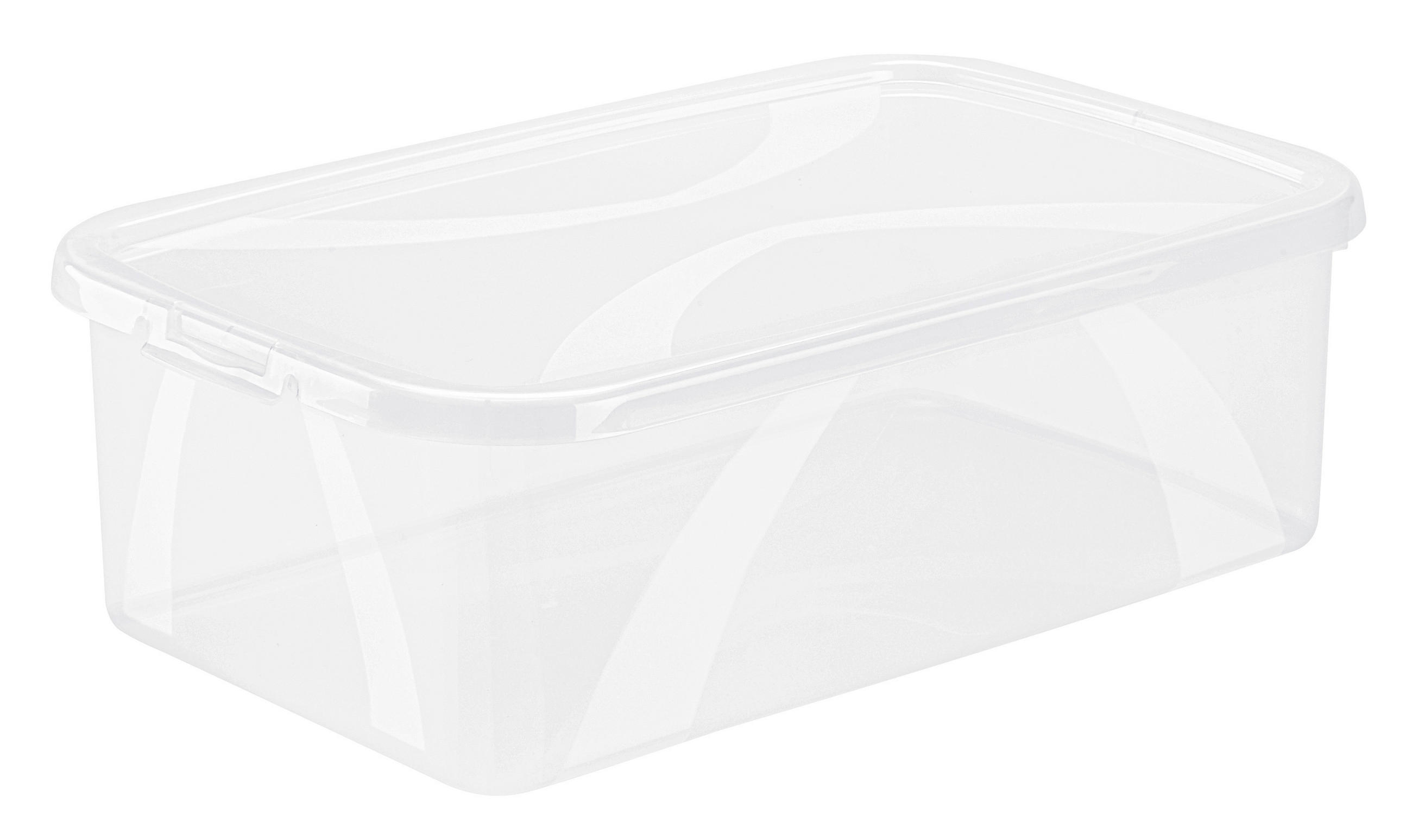 BOX MIT DECKEL    34,4/20,2/10,6 cm  - Transparent, KONVENTIONELL, Kunststoff (34,4/20,2/10,6cm) - Rotho