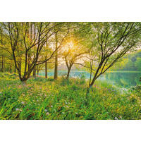 FOTOTAPET 368/254 cm  - grön, Natur, papper (368/254cm) - Komar