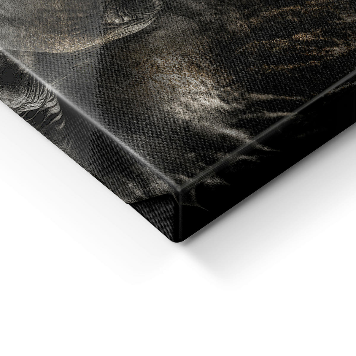 LEINWANDBILD Tiere 85/113 cm  - Silberfarben/Schwarz, Basics, Holz/Textil (85/113cm)