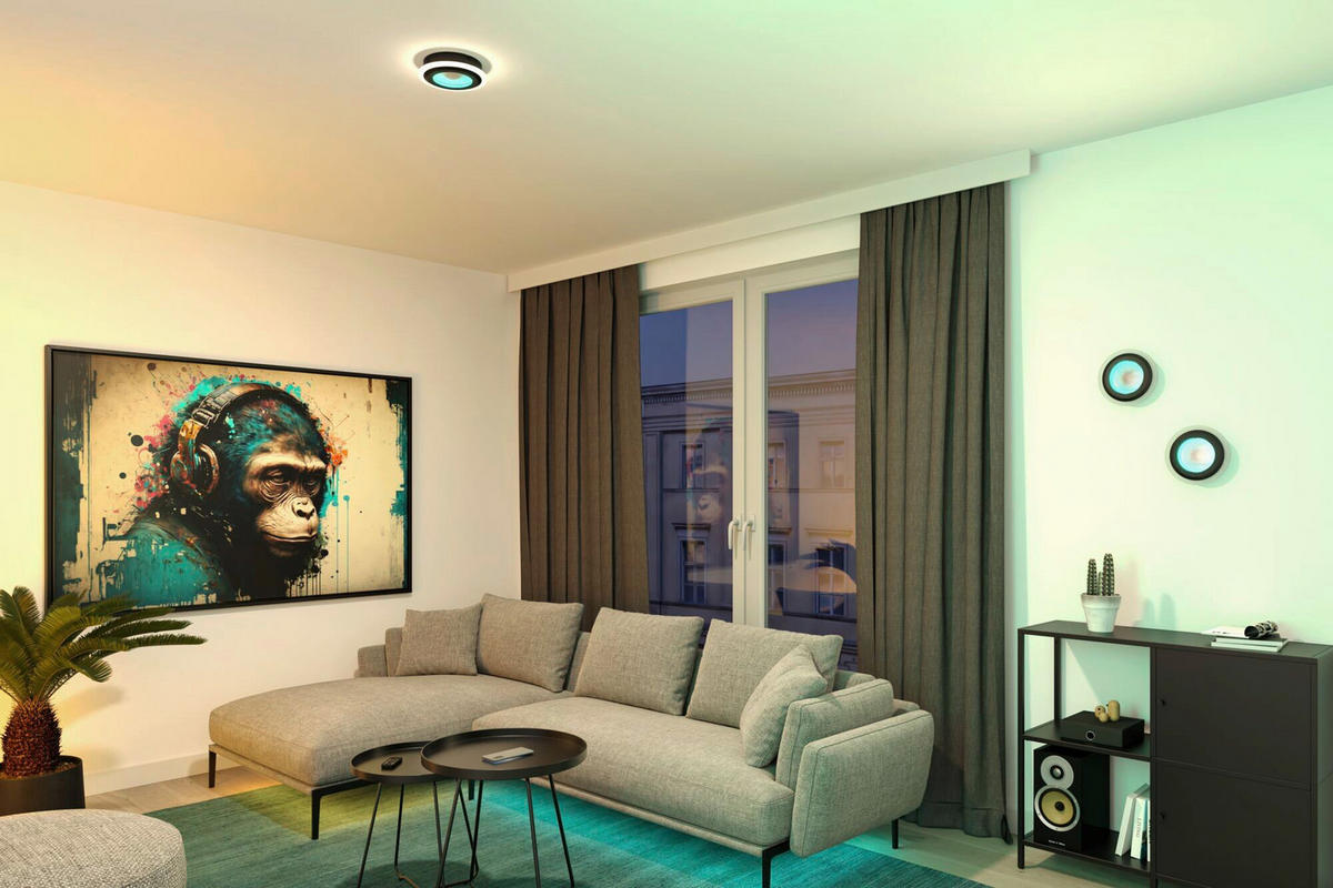 DECKENLEUCHTE Spaceglow 20/4.8 cm   - Schwarz, KONVENTIONELL, Kunststoff (20/4.8cm) - Paulmann