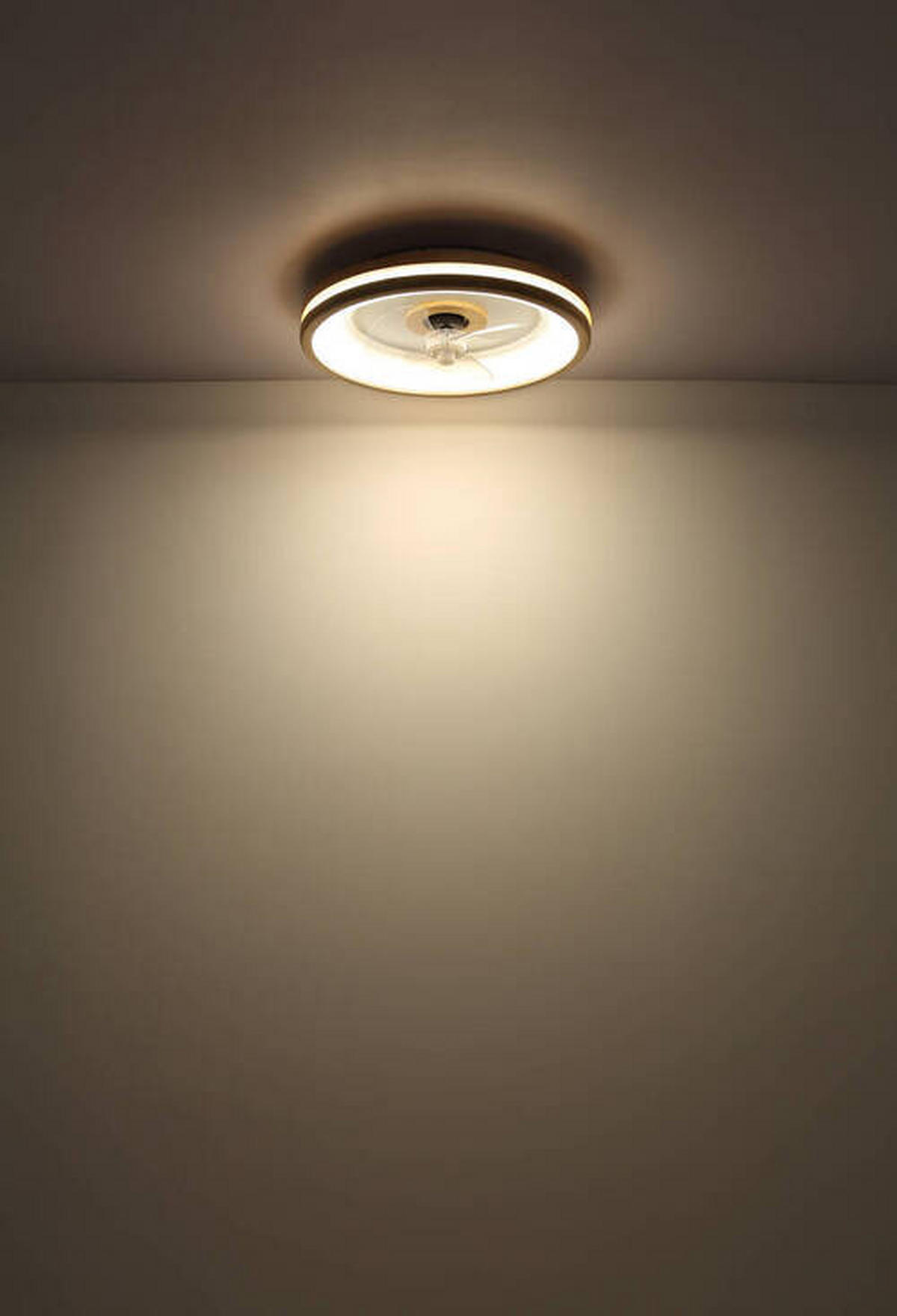 MENNYEZETI VENTILÁTOR - sötétbarna/áttetsző, Natur, műanyag/fém (50/12,5cm) - Globo